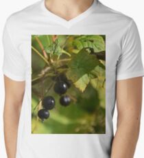 Black Currant V-Neck T-Shirt