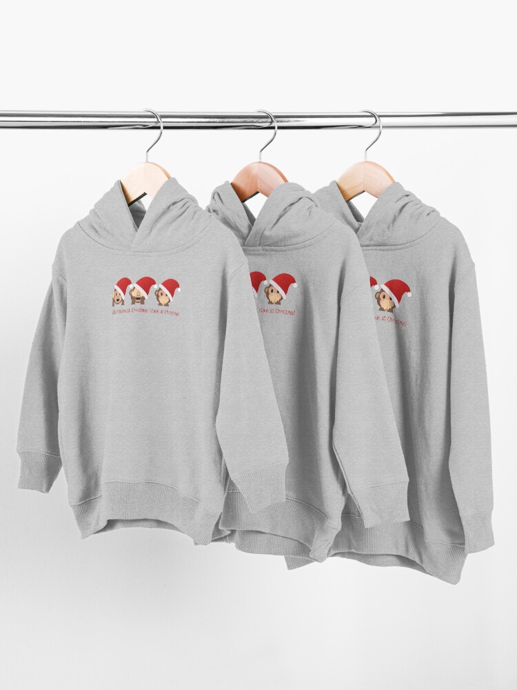 Alternate view of What happens at Christmas, stays at Christmas! Toddler Pullover Hoodie