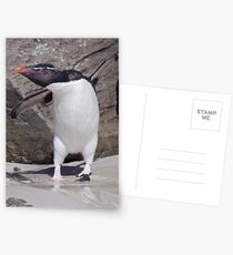 Happy Feet! Postcards