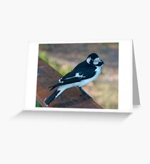 WO ~ SC ~ FANTAIL ~ Magpie-Lark by David Irwin 041119 Greeting Card