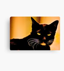 Mr Macdonald: On Explore Featured, 22-04-2011 : 6 Featured Works Canvas Print