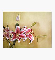 Star Gazer Lilies I Photographic Print