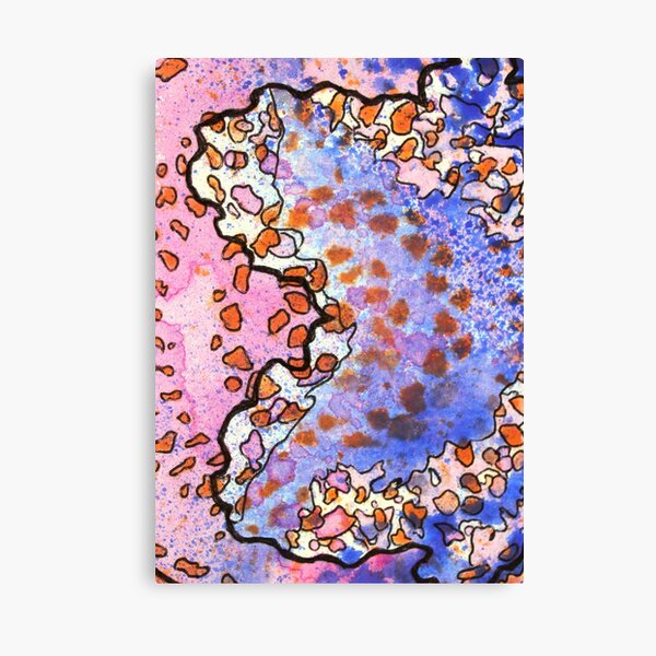 4, Inset A Canvas Print
