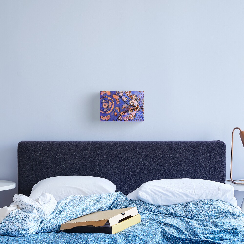 4, Inset B Canvas Print