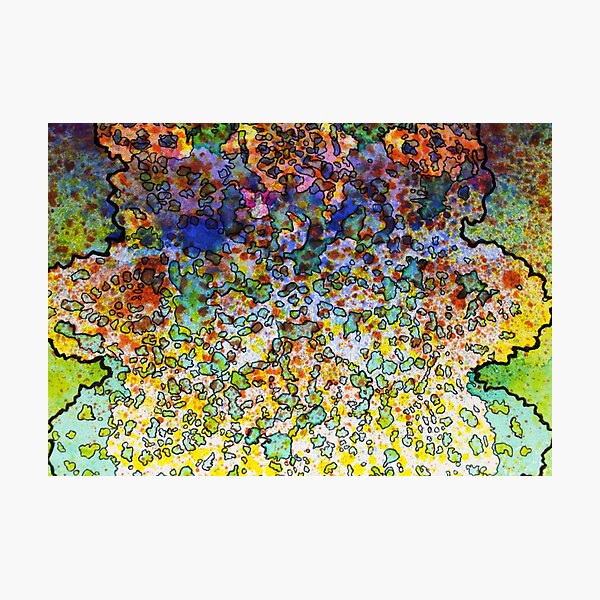 5, Inset C Photographic Print