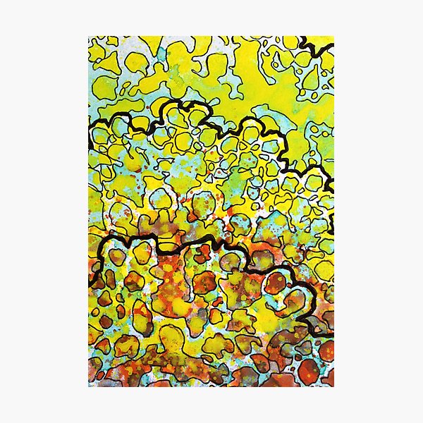 6, Inset A Photographic Print