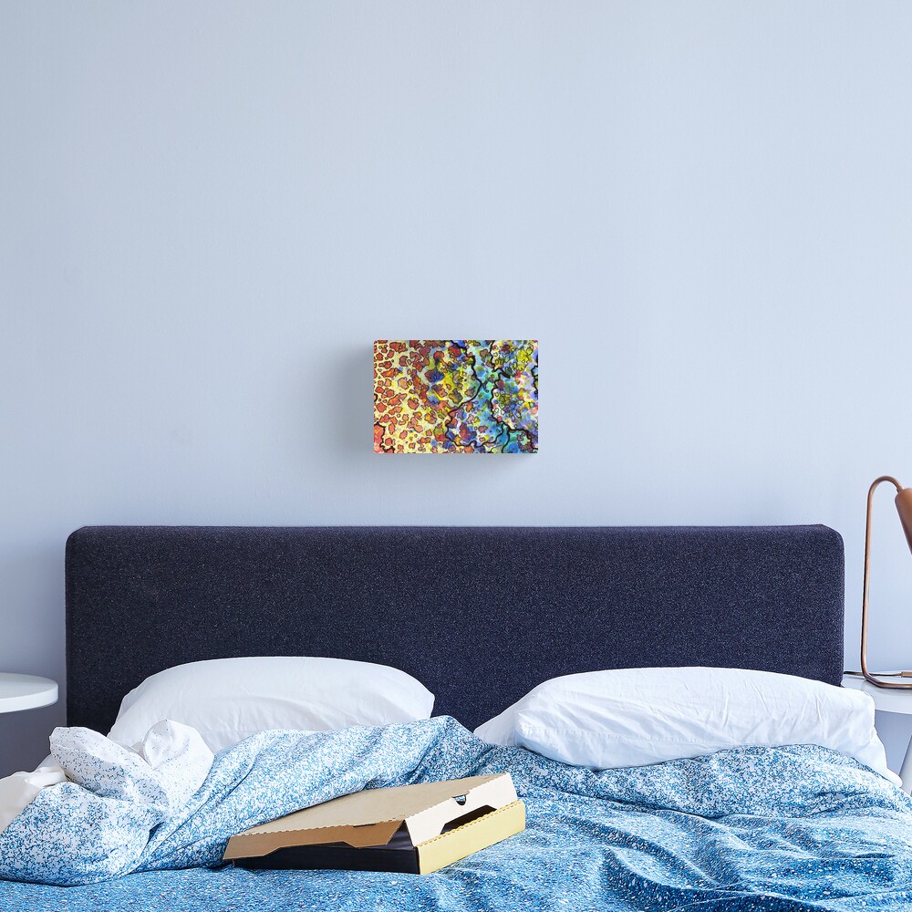 7, Inset A Canvas Print