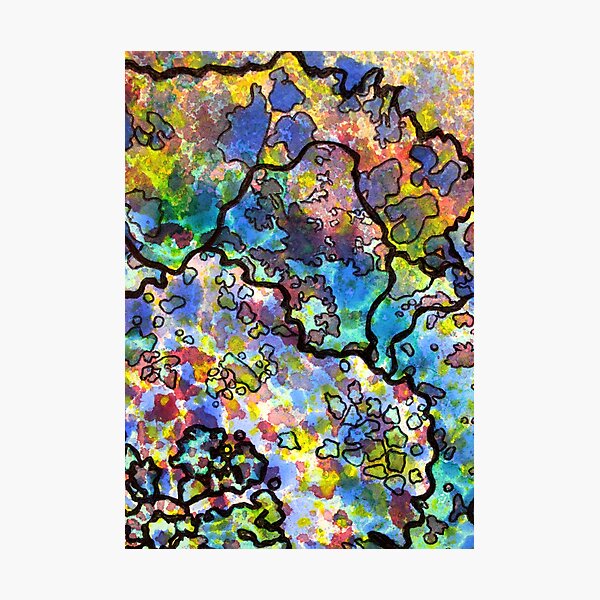 7, Inset B Photographic Print