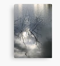 Ikebana Canvas Print