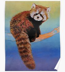 Cute Red Panda Poster