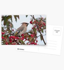 Waxwing Postcards