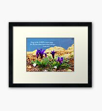 Spring on sea rocks Framed Print