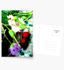 vernal Postcards