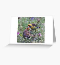 WO ~ PARROT ~ Green Rosella by David Irwin 061119 Greeting Card
