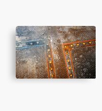 Capsule Canvas Print