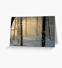Winter Light Rays - Ottawa, Canada. Greeting Card