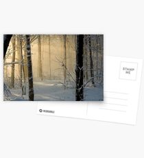 Winter Light Rays - Ottawa, Canada. Postcards