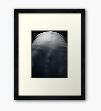 Spine Framed Print