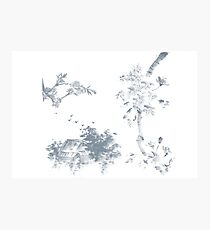 Sumi-e inspired (01) Photographic Print