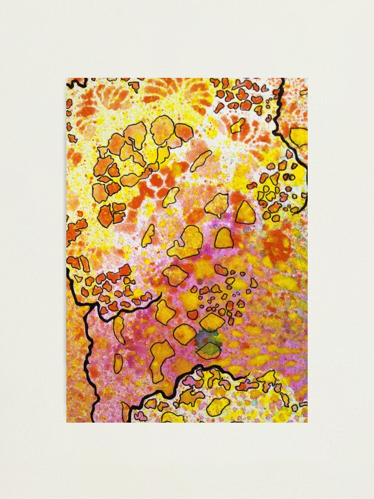 Alternate view of 9, Inset B Photographic Print