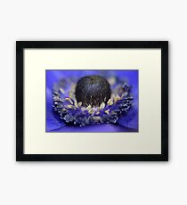 Hello Beauty! Framed Print