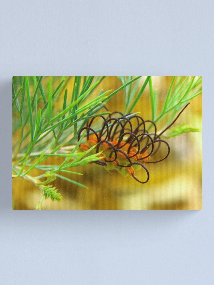 Alternate view of Grevillea calliantha Canvas Print