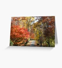 Brilliant Colors on a Fall Day Greeting Card
