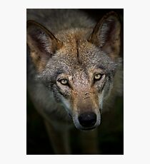 Sinister Appeal Photographic Print