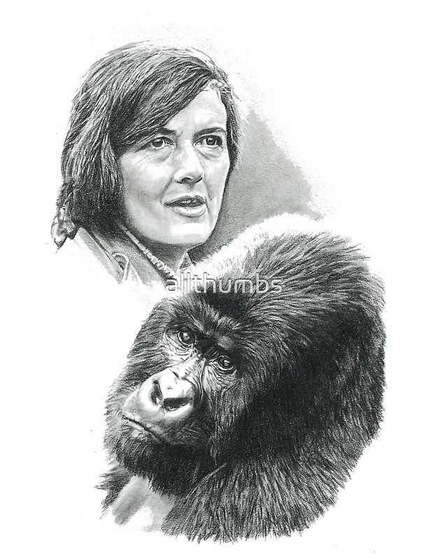 "TRIBUTE TO DIAN FOSSEY" By Allthumbs | Redbubble