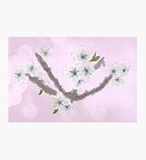Blossoms Photographic Print
