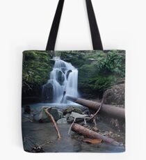DSC-3220 Tote Bag
