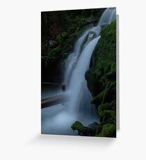 DSC-3205 Greeting Card