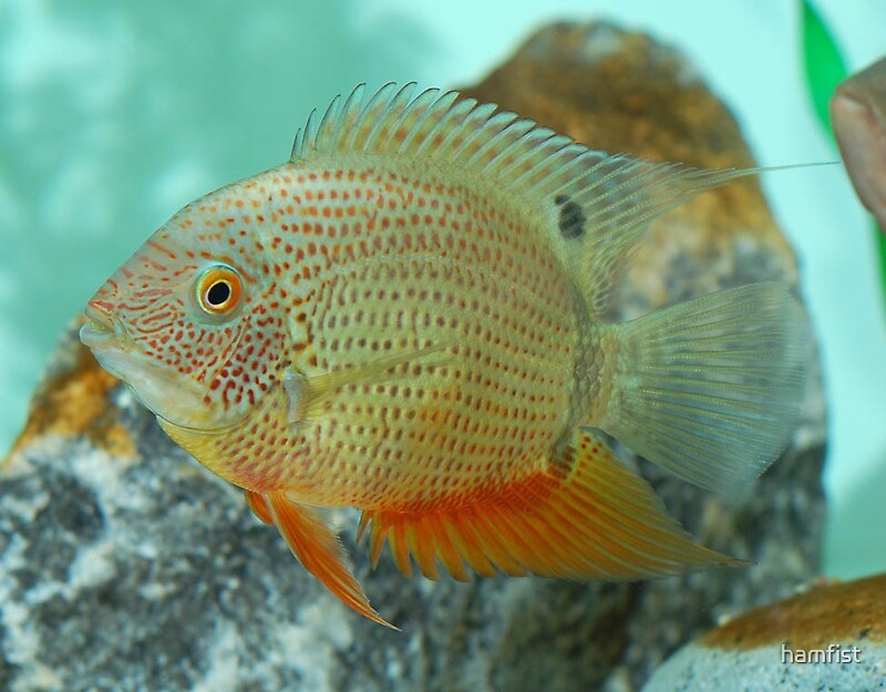 green severum