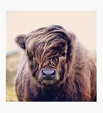 Highlander with style Photographic Print