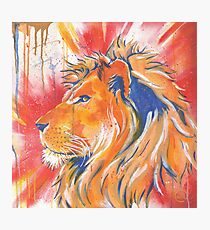 Lion Photographic Print