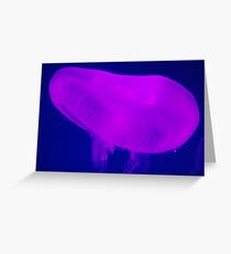 sea anemone Greeting Card