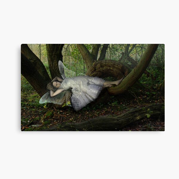 Stillness Canvas Print