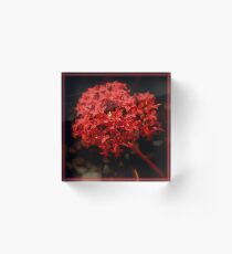 The World Is A Colorful Wonder ~ Part Twenty-Five Acrylic Block