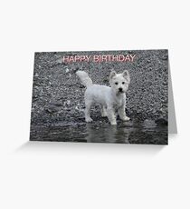 WESTIE BIRTHDAY Greeting Card