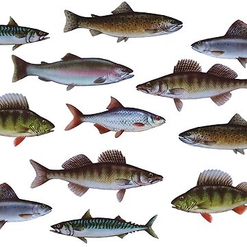 Artwork thumbnail, Interesting Fish Pattern by tiokvadrat