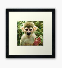Hello! Framed Print