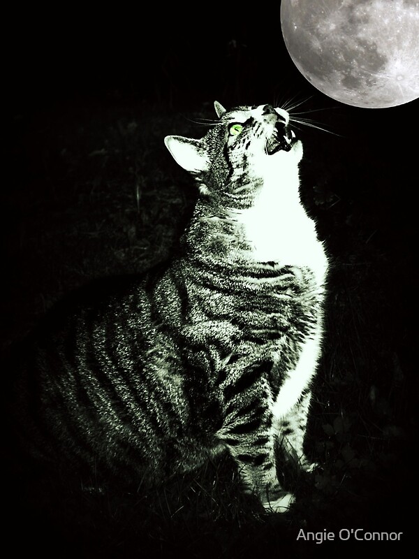 "Cat Howling" by Angie O'Connor Redbubble