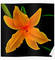 Vibrant- A Beautiful Floral Print Poster