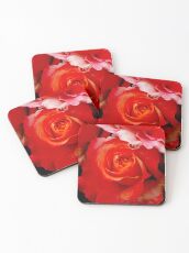 Dark Rose Coasters