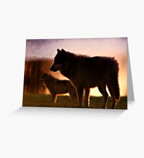 SUNSET WOLVES Greeting Card