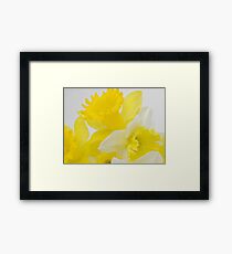 Spring Song Framed Print