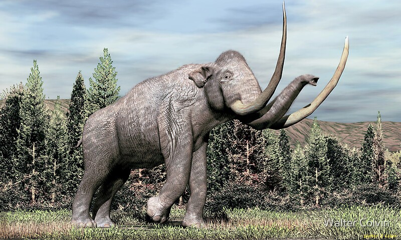 "Columbian Mammoth (Mammuthus Columbi)" By Walter Colvin | Redbubble