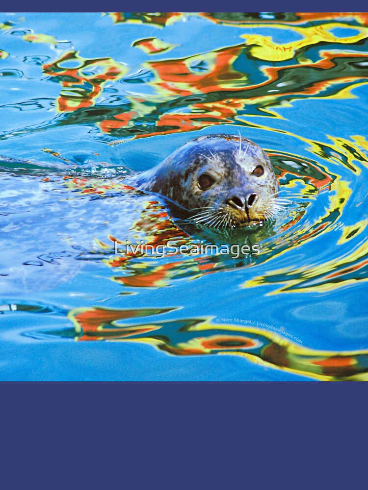 Harbor Seal in reflected color by LivingSeaimages