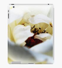 My Secret iPad Case/Skin