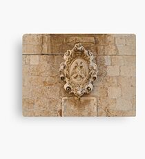 Coat of Arms Canvas Print